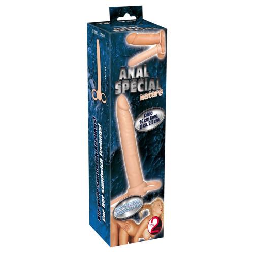 Artikelbild des Artikels “Anal Special nature “