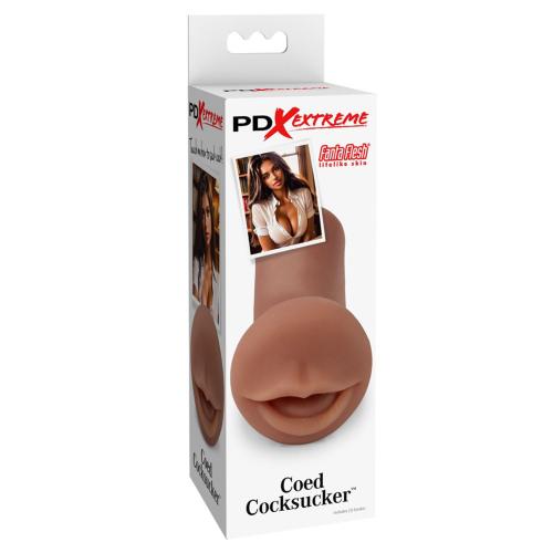 Artikelbild des Artikels “PDXE Coed Cocksucker Brown “