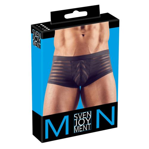 Artikelbild des Artikels “Herren Pants “