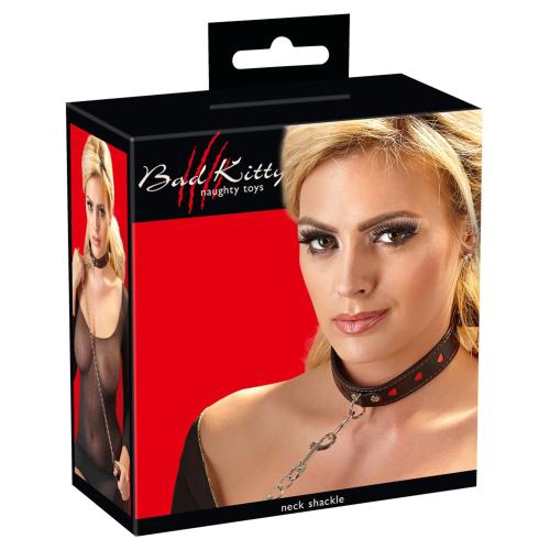 Artikelbild des Artikels “Halsfessel und Leine “