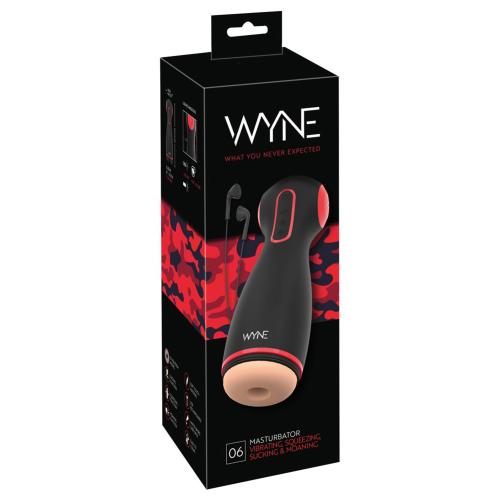 Artikelbild des Artikels “WYNE Masturbator 06 “