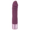  Artikelbild 2 des Artikels “Elegant Series Realistic Vibe “