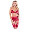  Artikelbild 2 des Artikels “BH Strapsset rot “