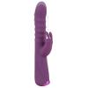  Artikelbild 2 des Artikels “2 F. Rabbit Vibe Thrusting Vibration “