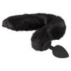  Artikelbild 3 des Artikels “Bad Kitty Pet Play Plug & Ears “
