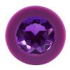  Artikelbild 4 des Artikels “Colorful Joy Jewel Purple Plug “