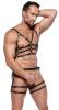  Artikelbild 4 des Artikels “Leder Herren Harness Set M/L “