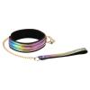  Artikelbild 5 des Artikels “LS Vivid Rainbow “