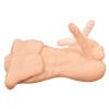  Artikelbild 5 des Artikels “Realistixxx Deluxe Man “