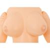  Artikelbild 5 des Artikels “Yuki Love Doll “