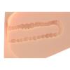  Artikelbild 6 des Artikels “PDX Plus EZ Bang Torso Light “