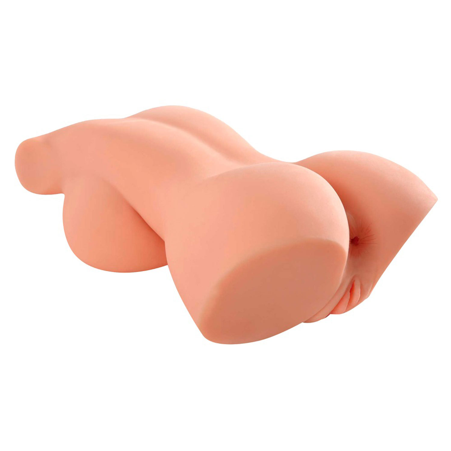 Artikelbild 3 des Artikels “PDX Plus Perfect 10 Torso “