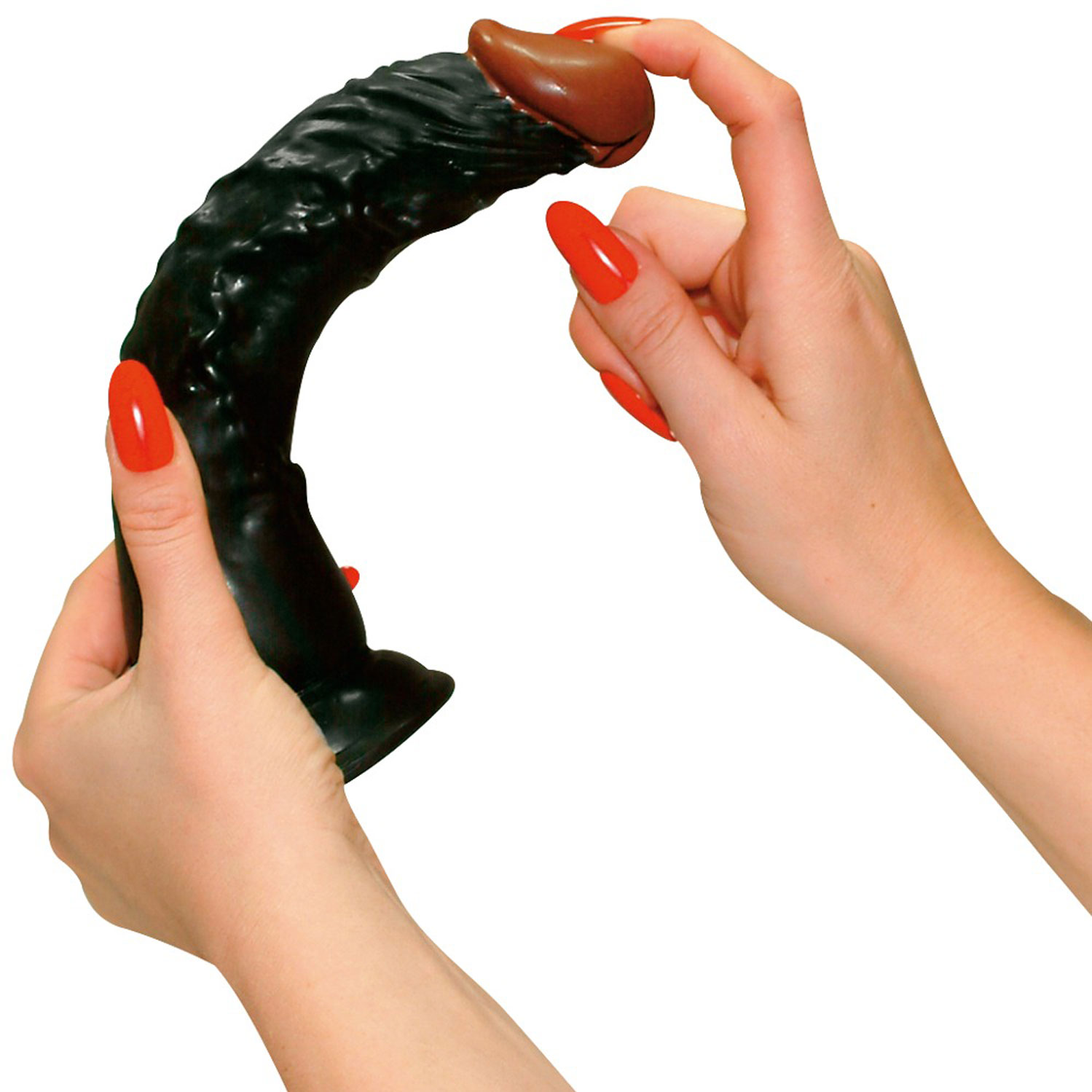  Artikelbild 4 des Artikels “European Lover “